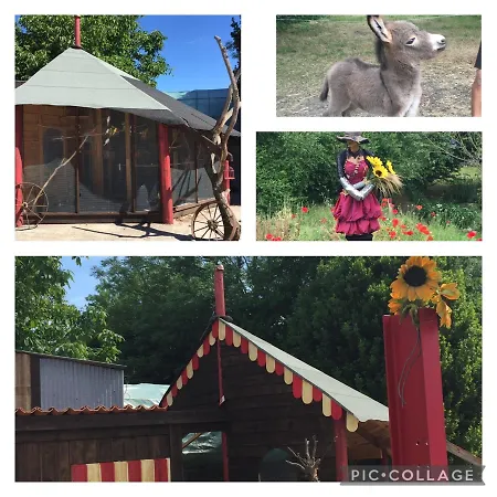Hébergement de vacances Les Rainettes