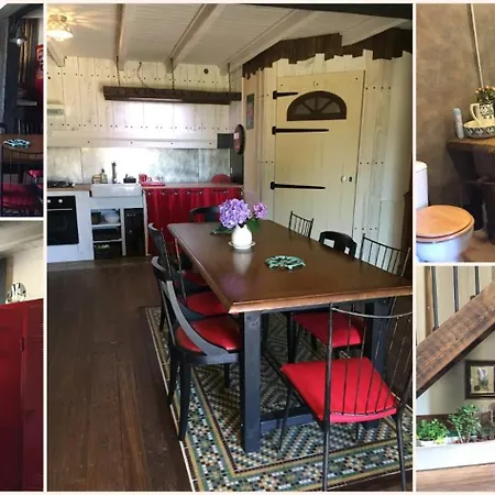 Les Rainettes * Lauriere (Haute-Vienne)