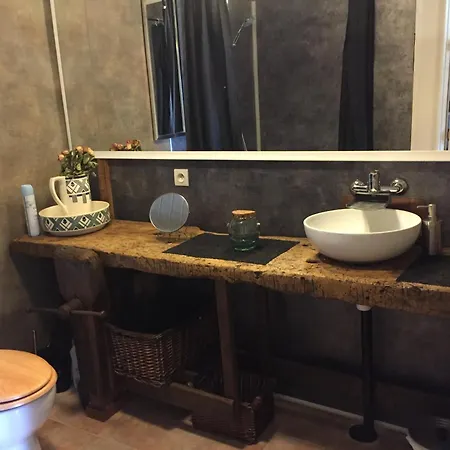 Les Rainettes * Lauriere (Haute-Vienne)