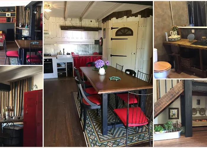 Les Rainettes * Lauriere (Haute-Vienne)