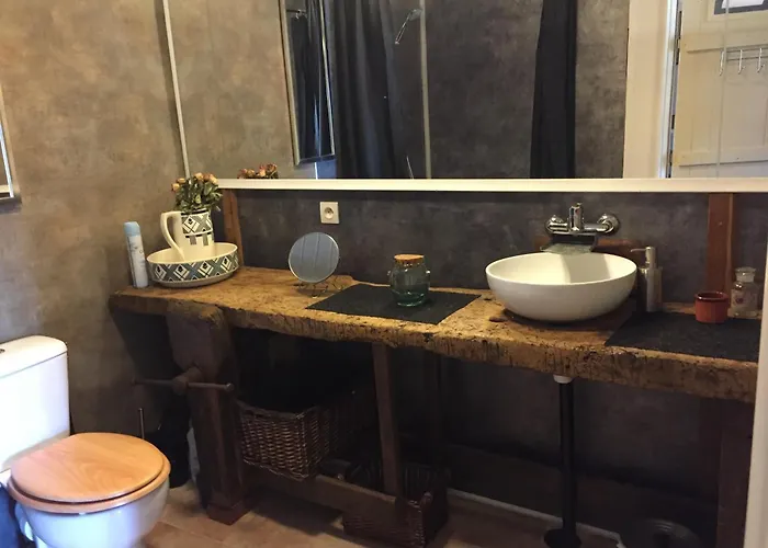 Les Rainettes * Lauriere (Haute-Vienne)